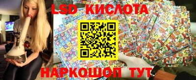 прущие грибы Кингисепп