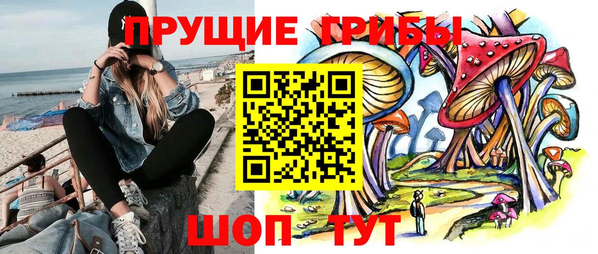 Псилоцибиновые грибы GOLDEN TEACHER Кстово