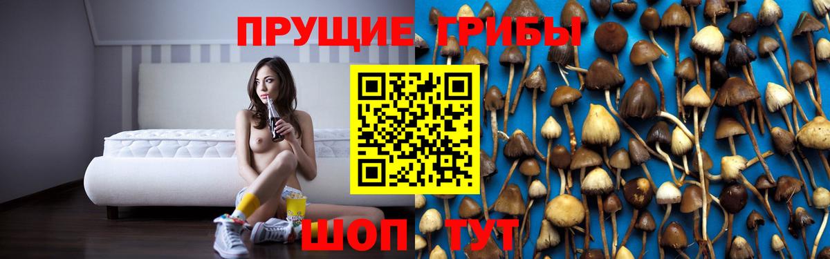 Галлюциногенные грибы Cubensis  Вход с VPN  Кстово 